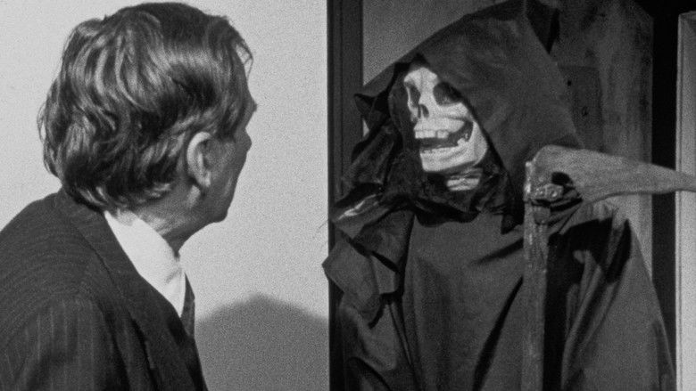 кадр из фильма Bugs Without Morals