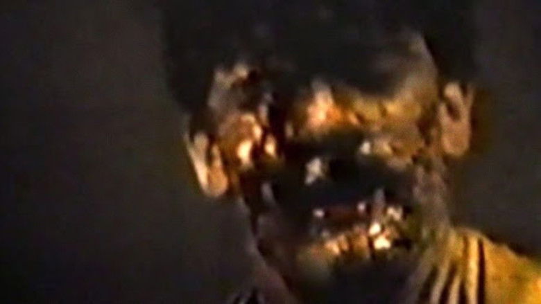 кадр из фильма В  лесу