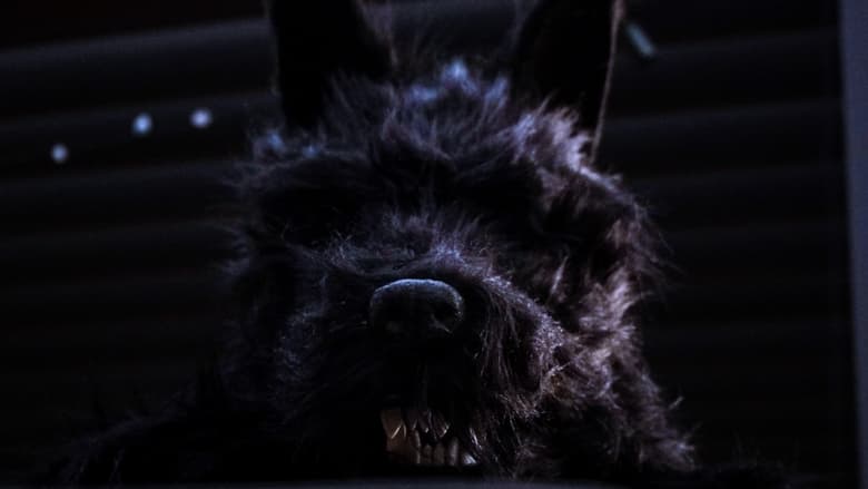 кадр из фильма Dogman