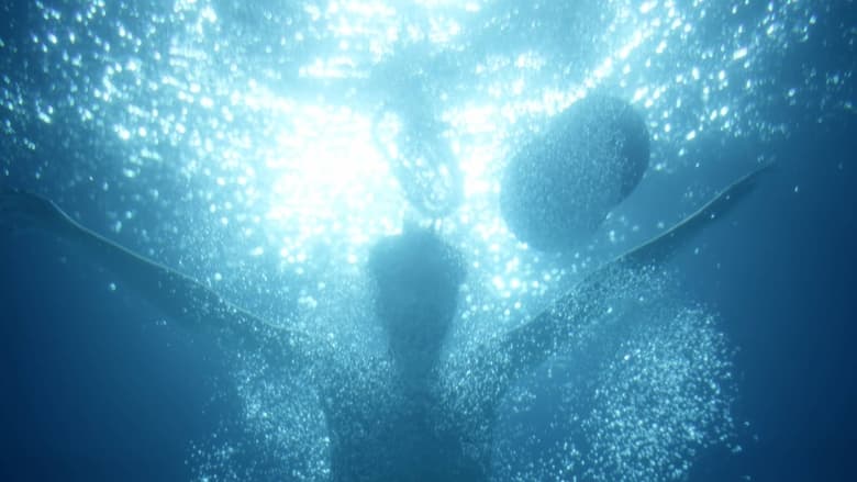 кадр из фильма Les Rêves du Plongeur