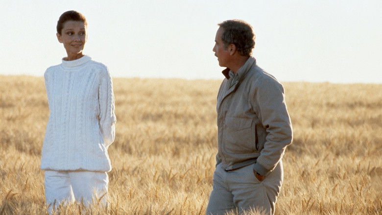 кадр из фильма Всегда