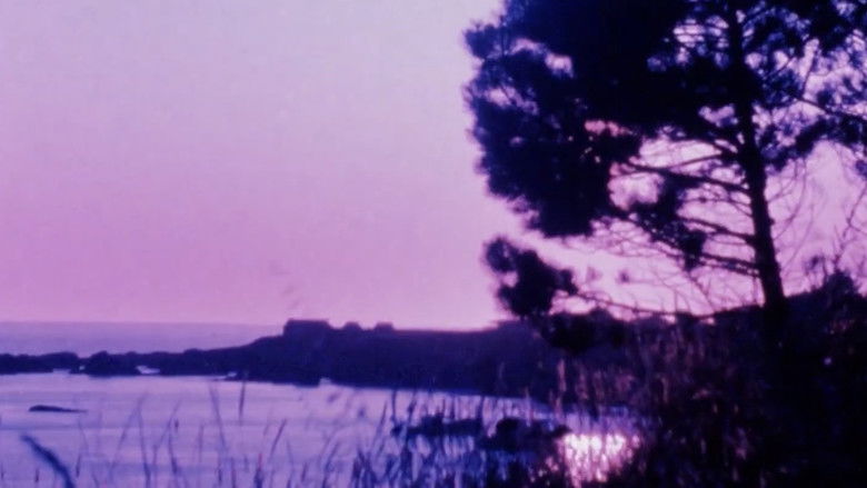 кадр из фильма Matter of Clarity