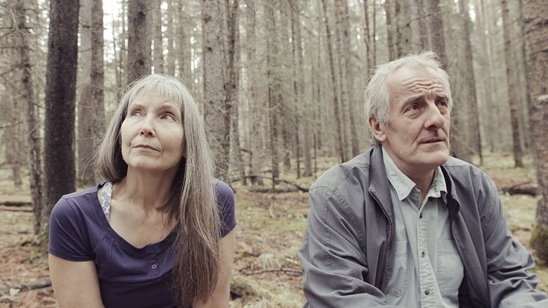 кадр из фильма To the Mountain