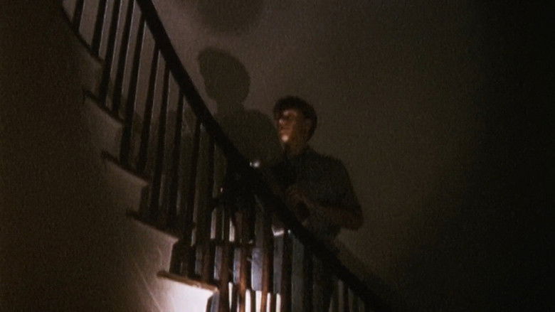 кадр из фильма Эксперимент в Сент-Фрэнсисвилле