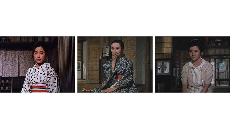 кадр из фильма Way of Ozu