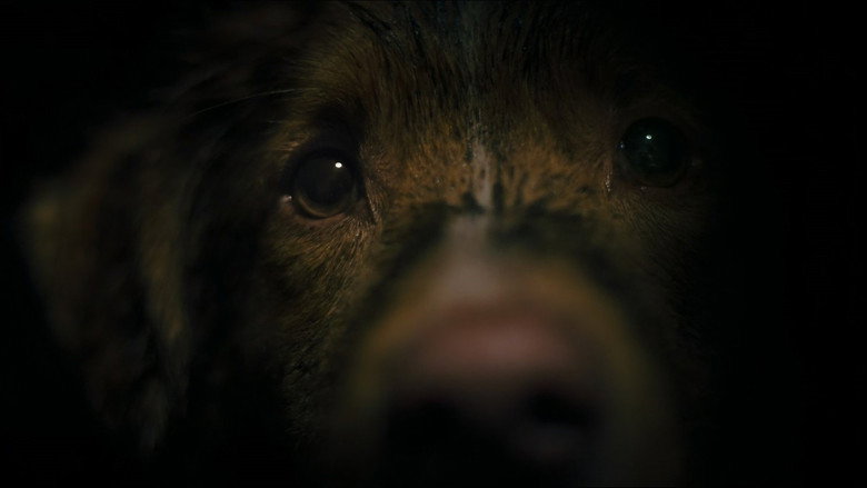 кадр из фильма Хороший мальчик