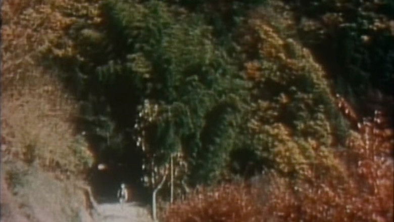 кадр из фильма 杣人物語