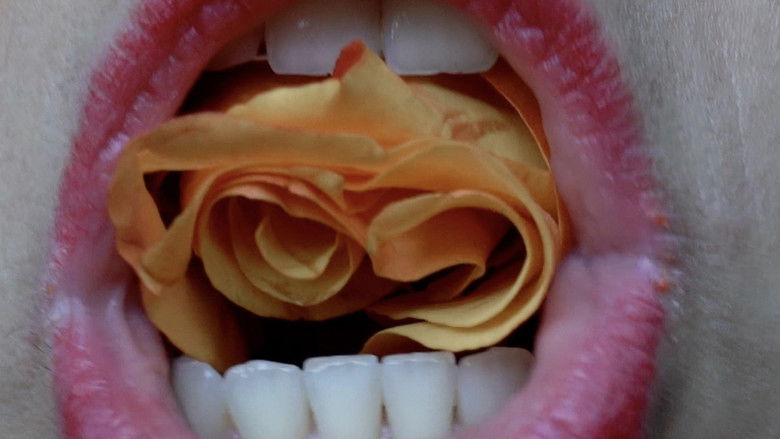 кадр из фильма Pétalos de leche