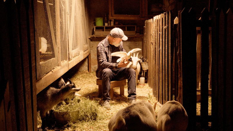 кадр из фильма Home Again