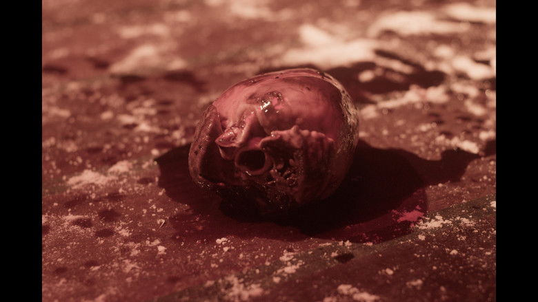 кадр из фильма Santo Errado