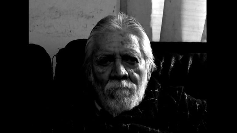 кадр из фильма Ariel y paz