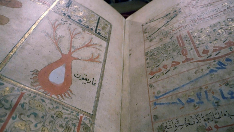кадр из фильма Les trésors oubliés de la médecine arabe