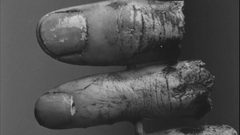 кадр из фильма 黒木太郎の愛と冒険