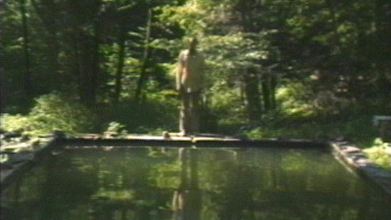 кадр из фильма The Reflecting Pool