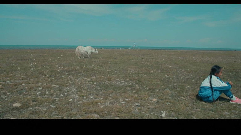 кадр из фильма 白牦牛