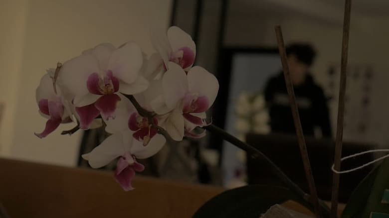 кадр из фильма Les bras ballants