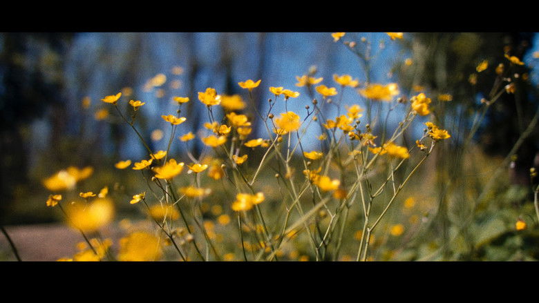 кадр из фильма Fidelitas