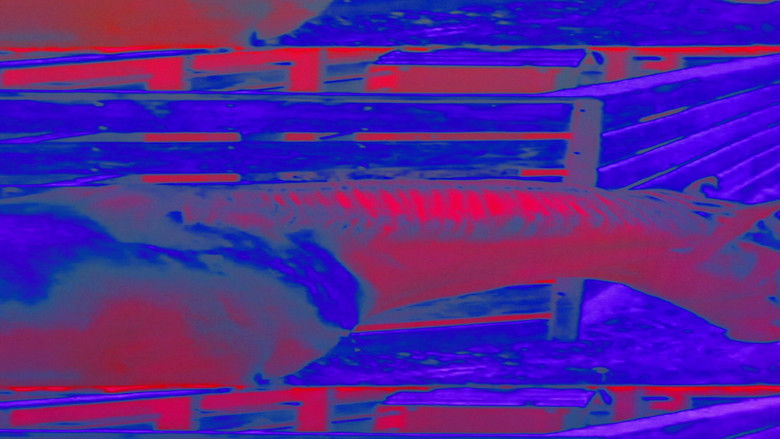 кадр из фильма The Art of Cinema 1