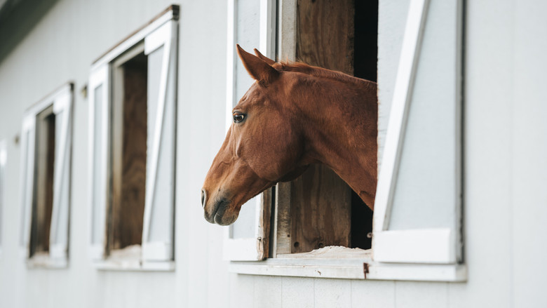 кадр из фильма Astral