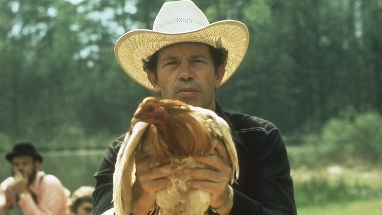 кадр из фильма Cockfighter