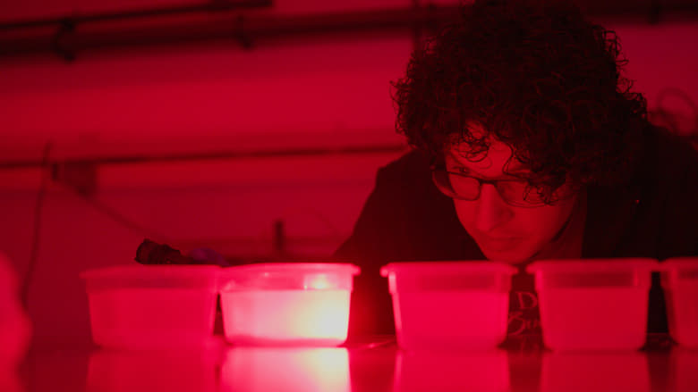 кадр из фильма Palingdans