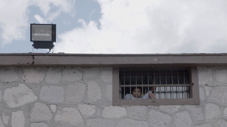 кадр из фильма Cuando cierro los ojos