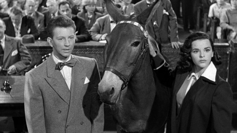 кадр из фильма Francis Covers the Big Town