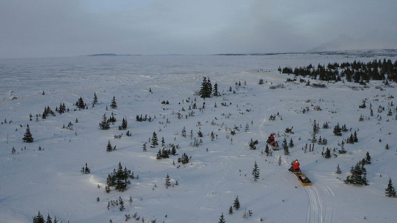 кадр из фильма Climat déréglé, santé en danger