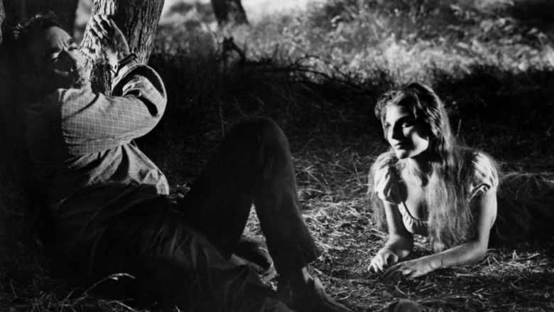 кадр из фильма Обратный путь