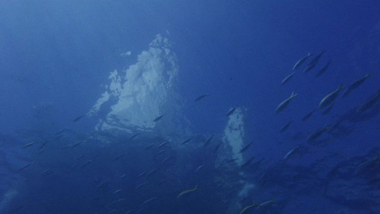 кадр из фильма Отверженный