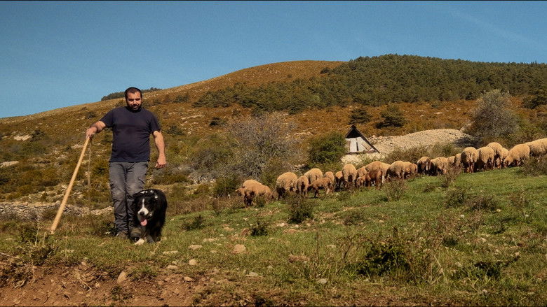 кадр из фильма France, une histoire d'amour