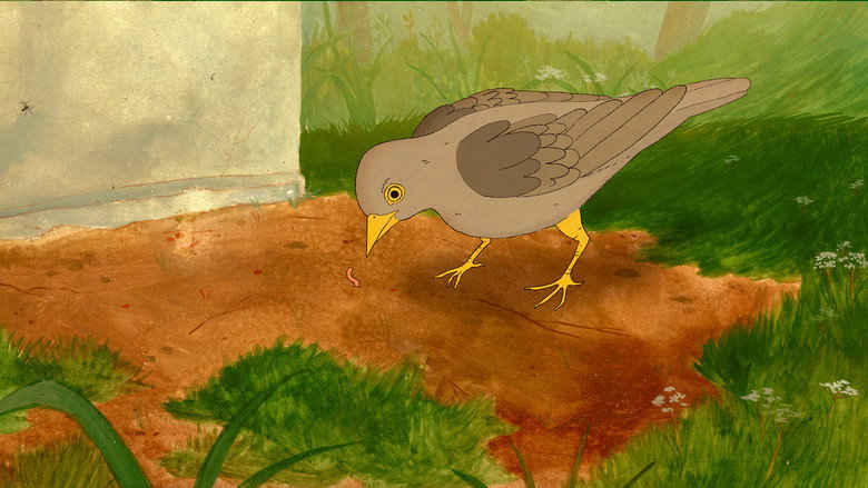 кадр из фильма Pajarito