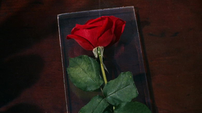 кадр из фильма Три страшных рассказа