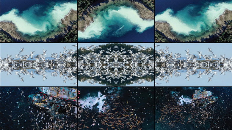 кадр из фильма GO FISH