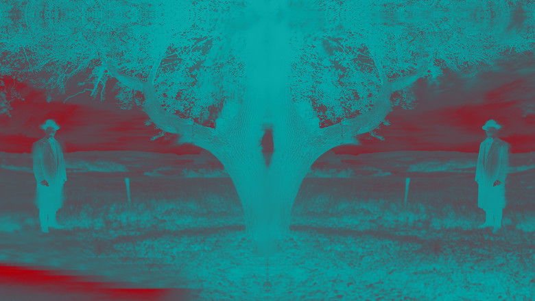 кадр из фильма Memorias Encuadradas