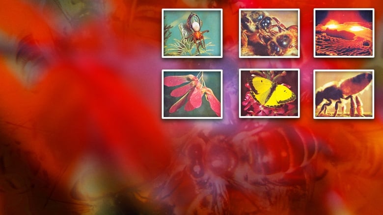 кадр из фильма Secrets of Life