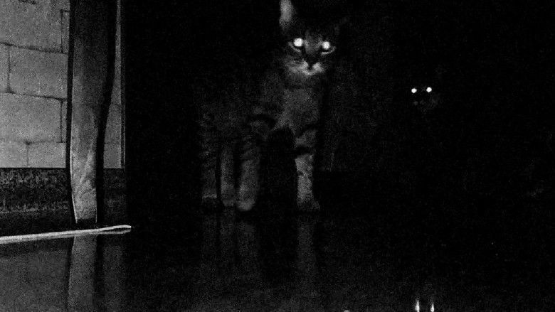 кадр из фильма CATS