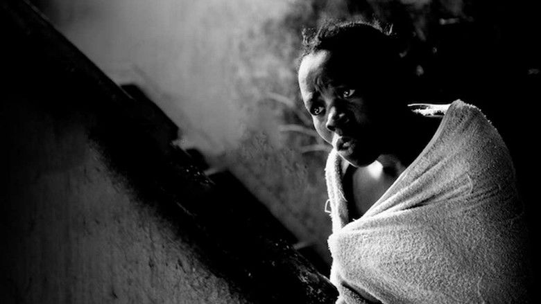 кадр из фильма Into the Shadows