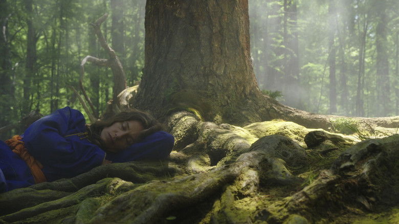 кадр из фильма Большой мир