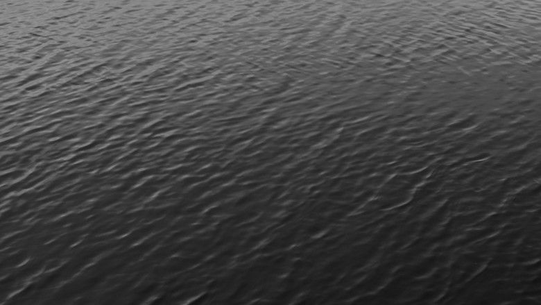 кадр из фильма Facticity