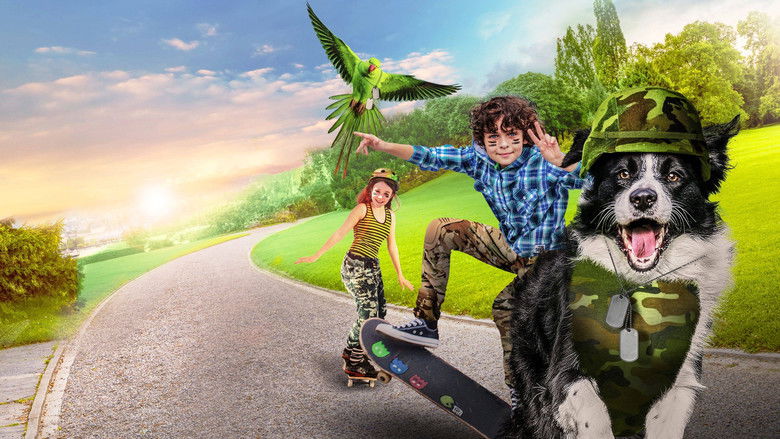 кадр из фильма Лохматый детектив