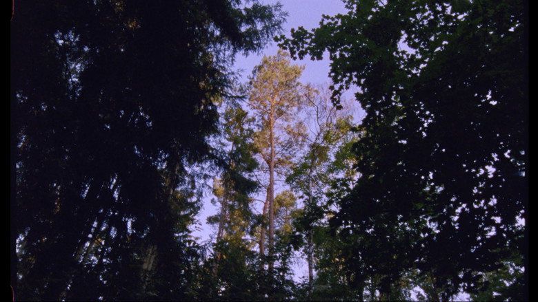 кадр из фильма Yesterday's Summer Blues