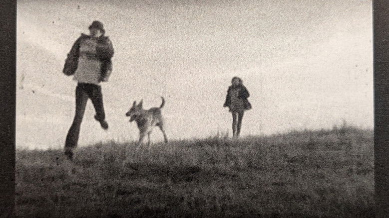 кадр из фильма The Secret of Sleep