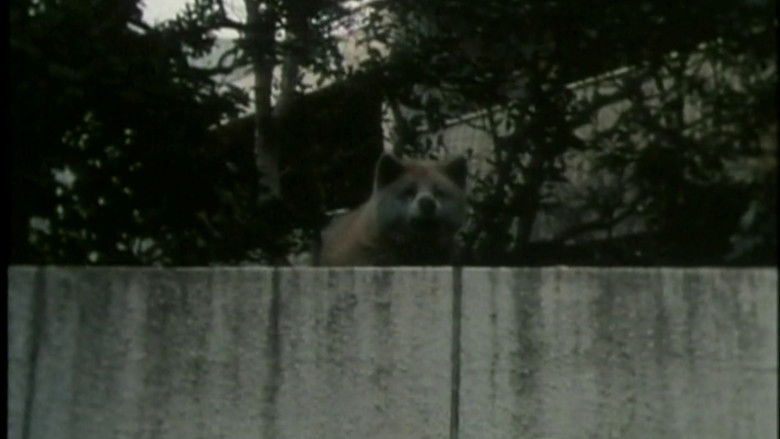 кадр из фильма 続・おでかけ日記～第2章～草の家