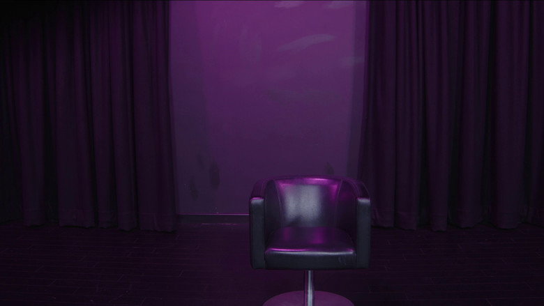кадр из фильма SUFFICIENT SIDE EFFECTS The Making Of Magenta House