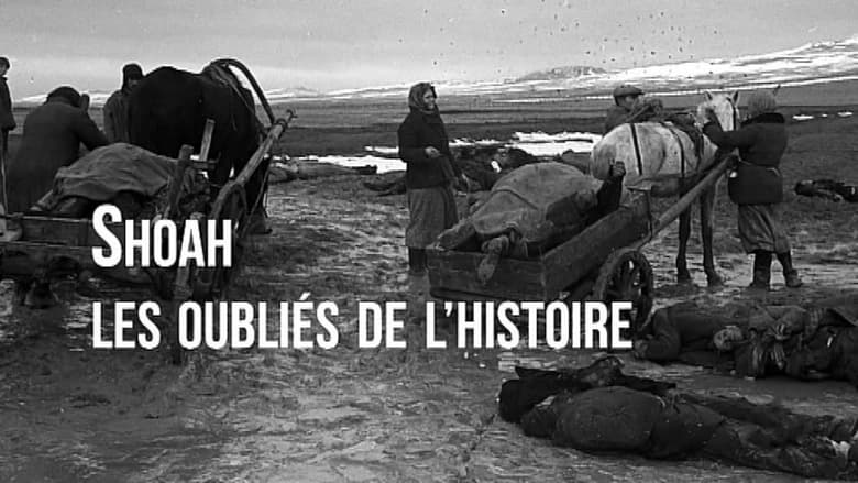 кадр из фильма Shoah, les oubliés de l'histoire