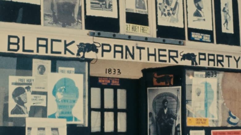 кадр из фильма Black Panthers
