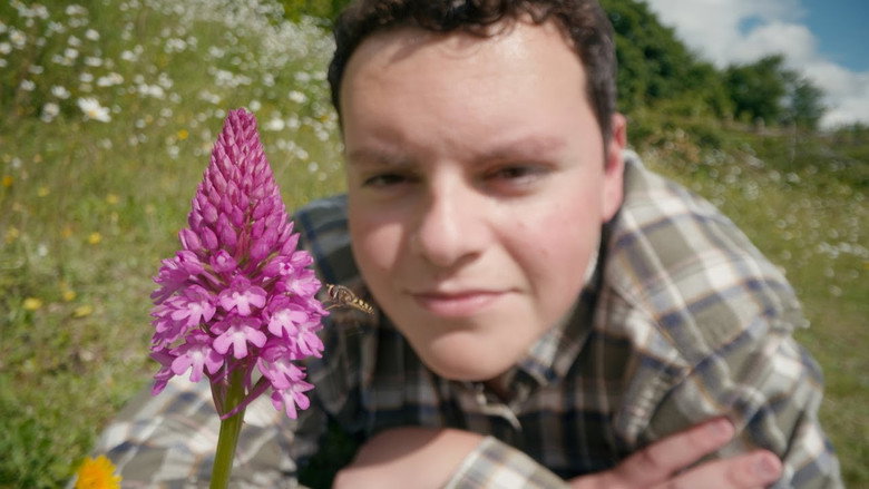 кадр из фильма Orchids: Darwin's Conundrum