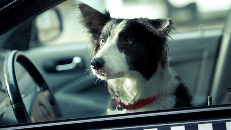 кадр из фильма Ёлки лохматые