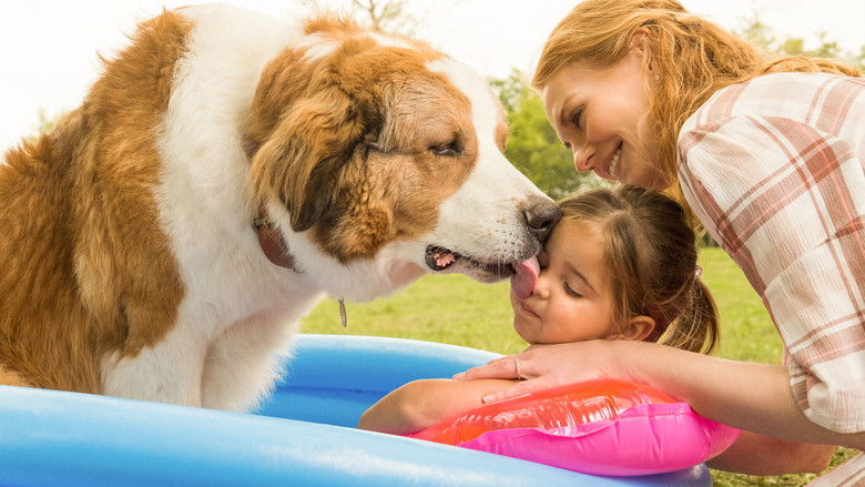 кадр из фильма Собачья жизнь 2